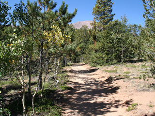 View of Pikes Peak from the Barr Trail just after the 7.8 mile sign