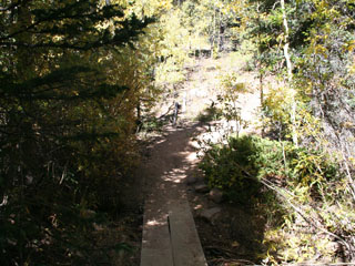 foot bridge on the Pikes Peak Barr Trail