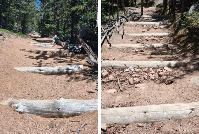 Logs, lots and lots of logs on the Pikes Peak Barr Trail