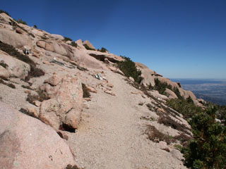 Just above tree line on the Pikes Peak Barr Trail