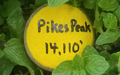 Pikes Peak Rock